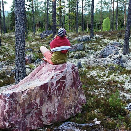 12 - Fulufjellets Nasjonalparker - Natur-, Dyre- Og Fugleopplevelser Ljordal Luaran gambar