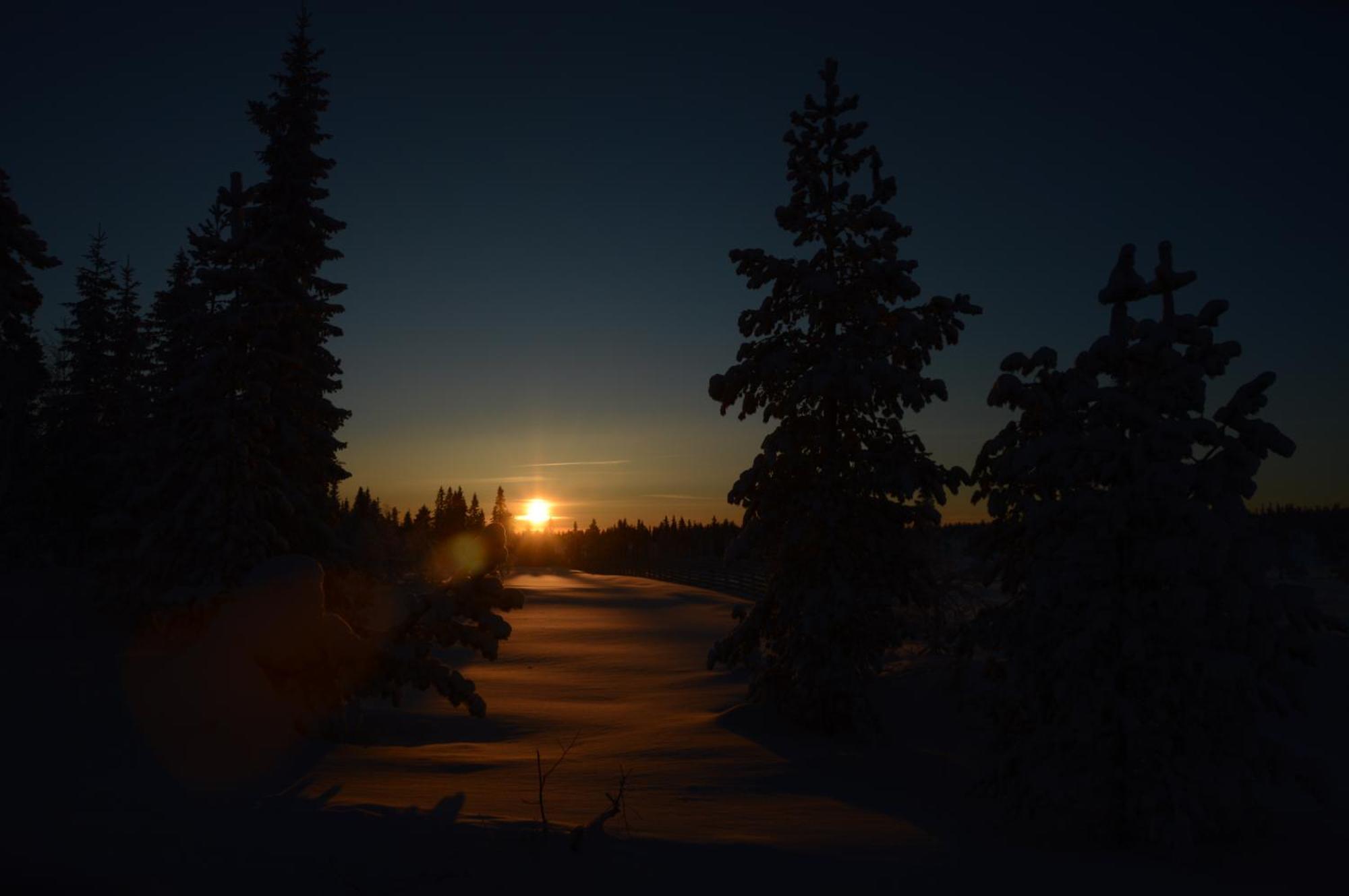 12 - Fulufjellets Nasjonalparker - Natur-, Dyre- Og Fugleopplevelser Ljordal Luaran gambar