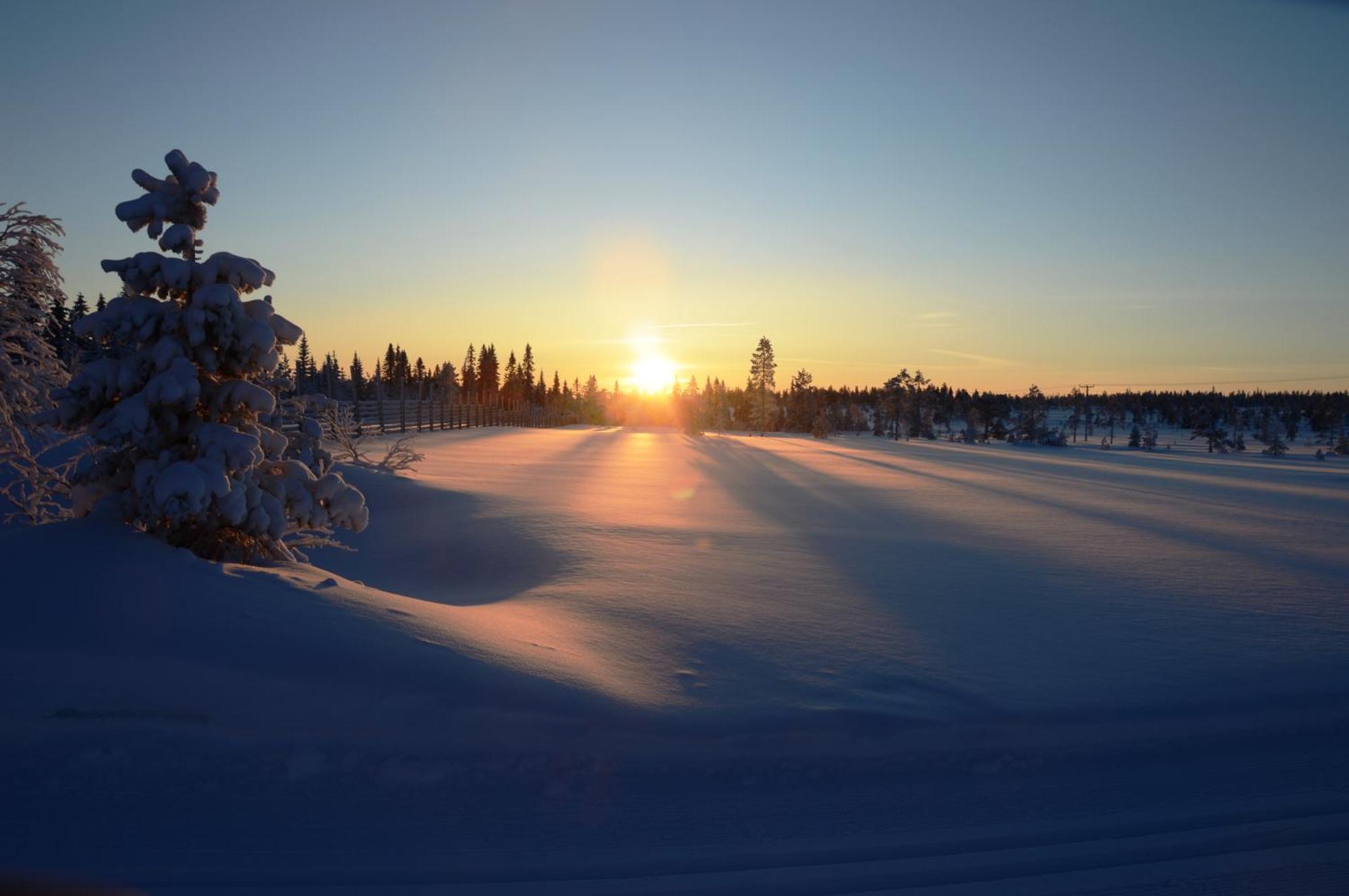 12 - Fulufjellets Nasjonalparker - Natur-, Dyre- Og Fugleopplevelser Ljordal Luaran gambar