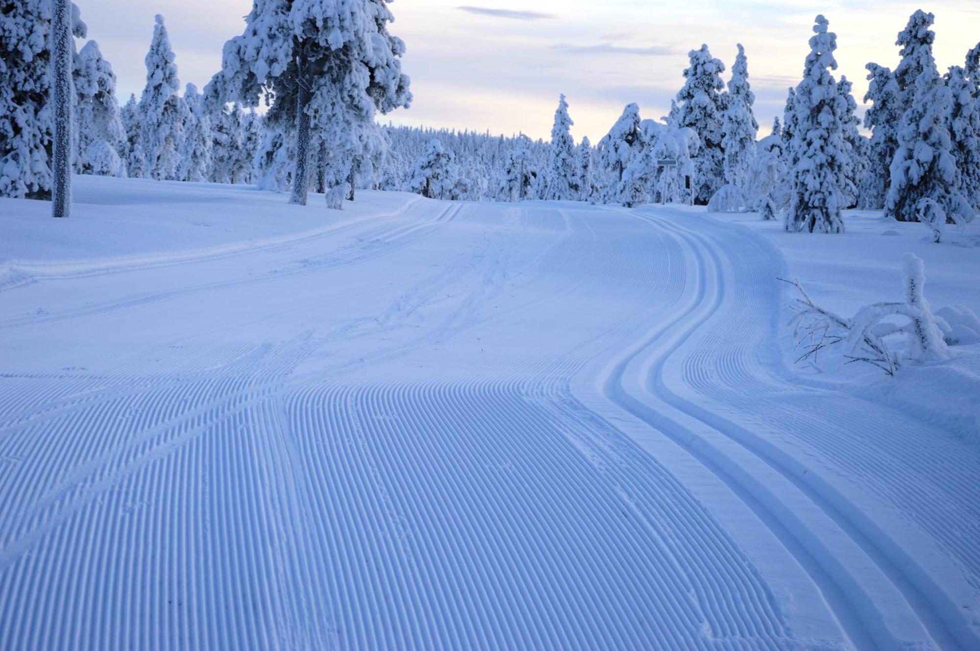 12 - Fulufjellets Nasjonalparker - Natur-, Dyre- Og Fugleopplevelser Ljordal Luaran gambar