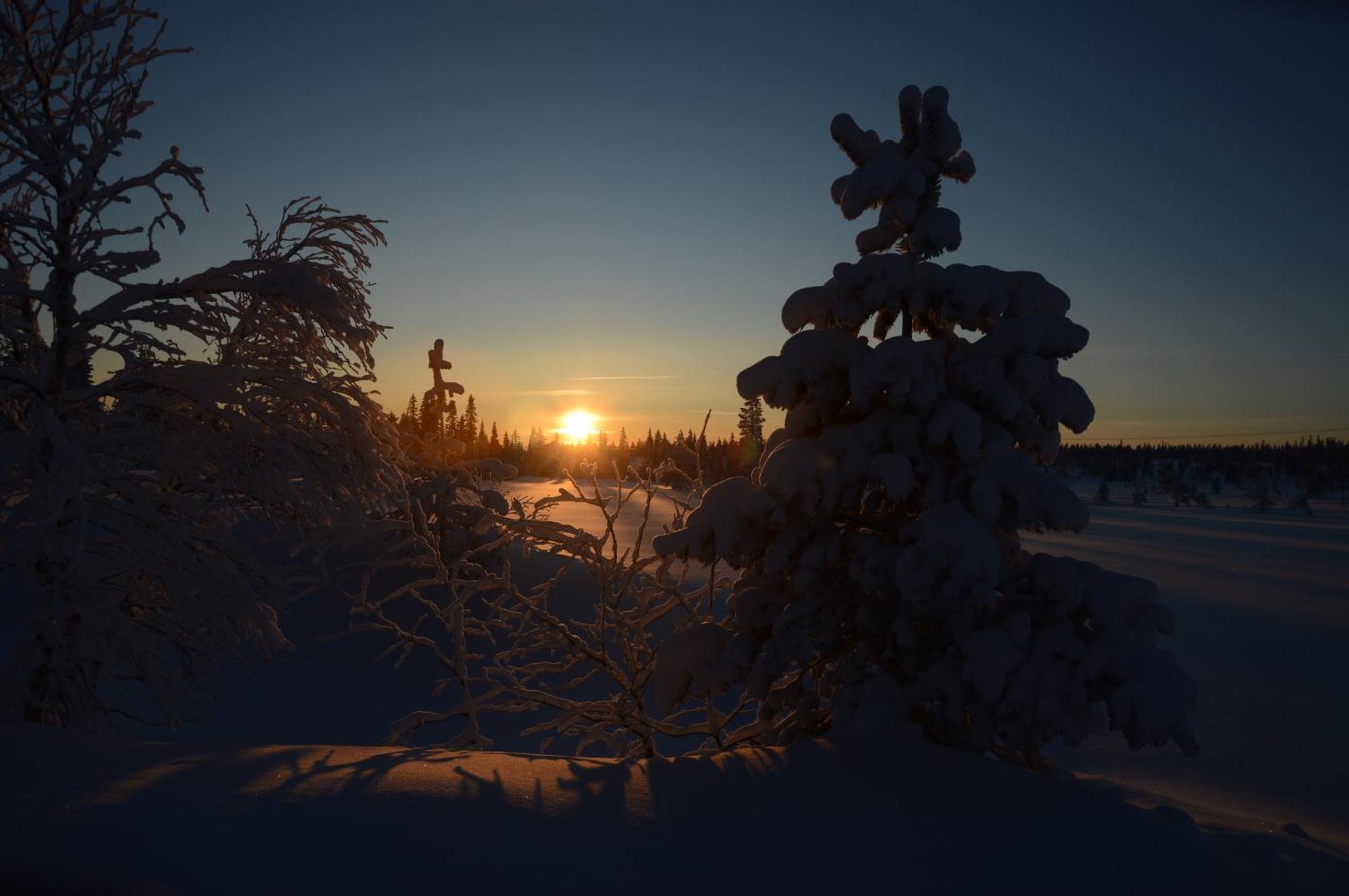 12 - Fulufjellets Nasjonalparker - Natur-, Dyre- Og Fugleopplevelser Ljordal Luaran gambar