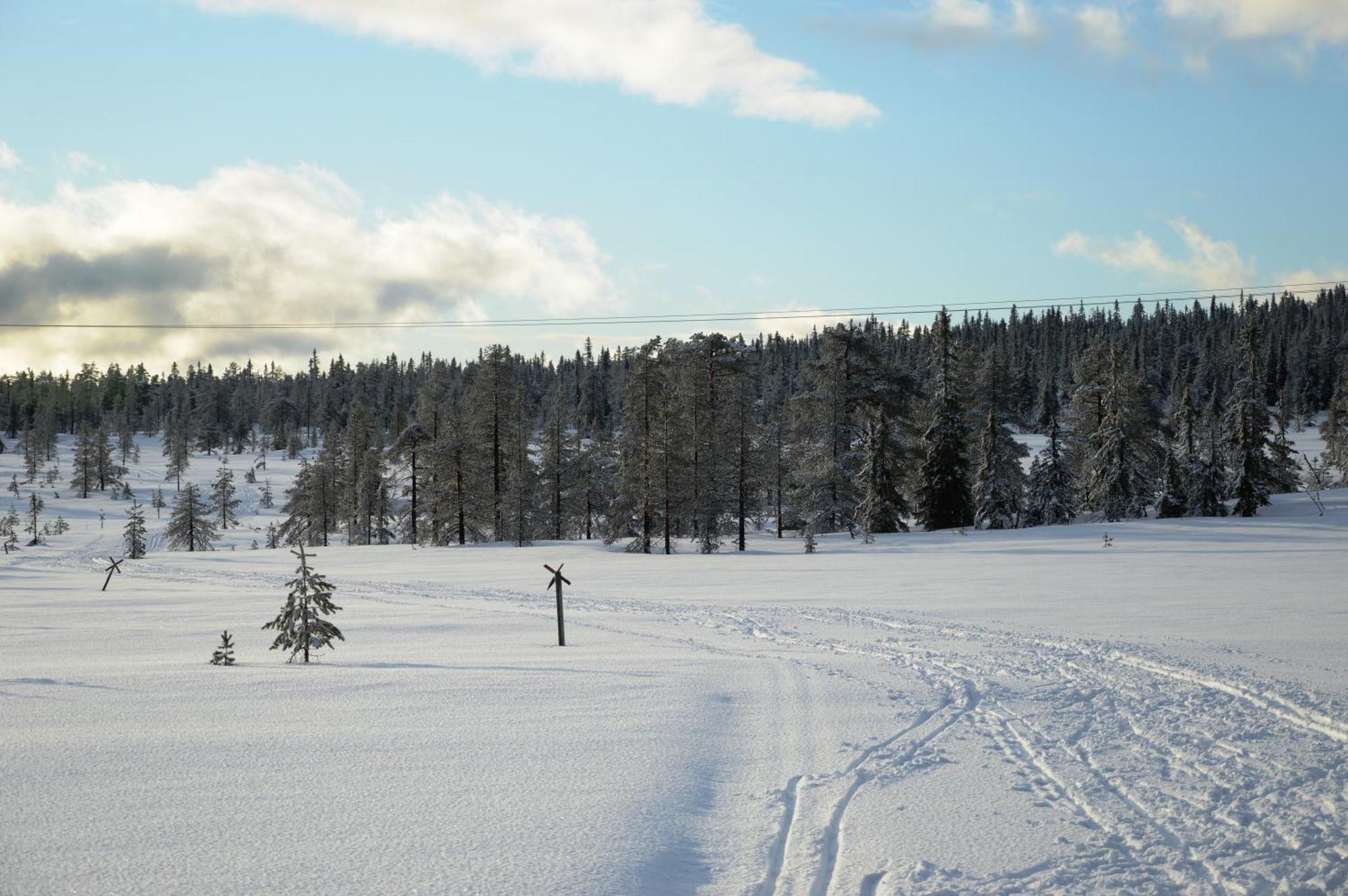 12 - Fulufjellets Nasjonalparker - Natur-, Dyre- Og Fugleopplevelser Ljordal Luaran gambar