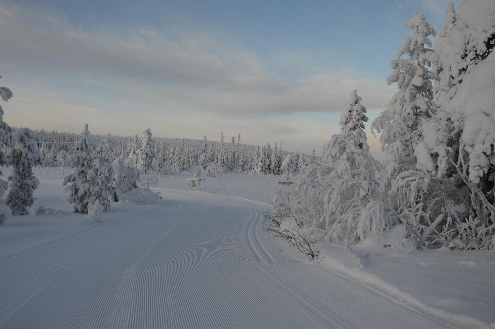 12 - Fulufjellets Nasjonalparker - Natur-, Dyre- Og Fugleopplevelser Ljordal Luaran gambar