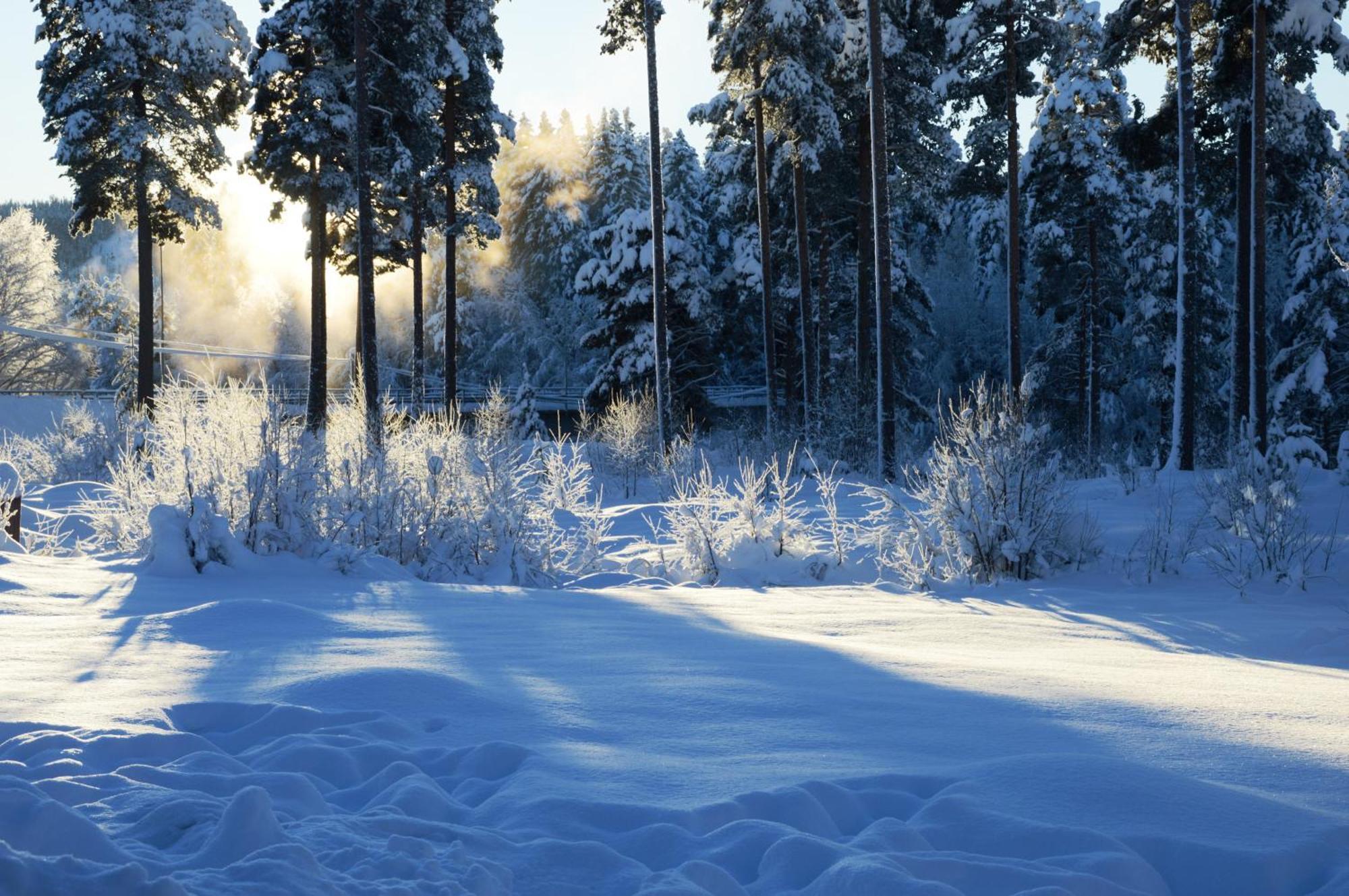 12 - Fulufjellets Nasjonalparker - Natur-, Dyre- Og Fugleopplevelser Ljordal Luaran gambar