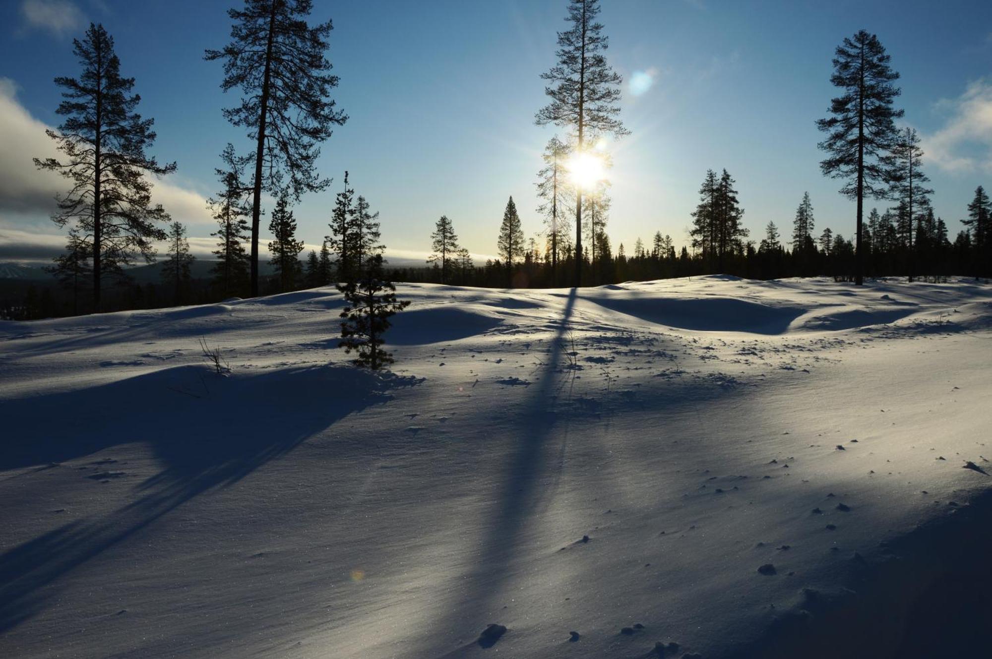 12 - Fulufjellets Nasjonalparker - Natur-, Dyre- Og Fugleopplevelser Ljordal Luaran gambar