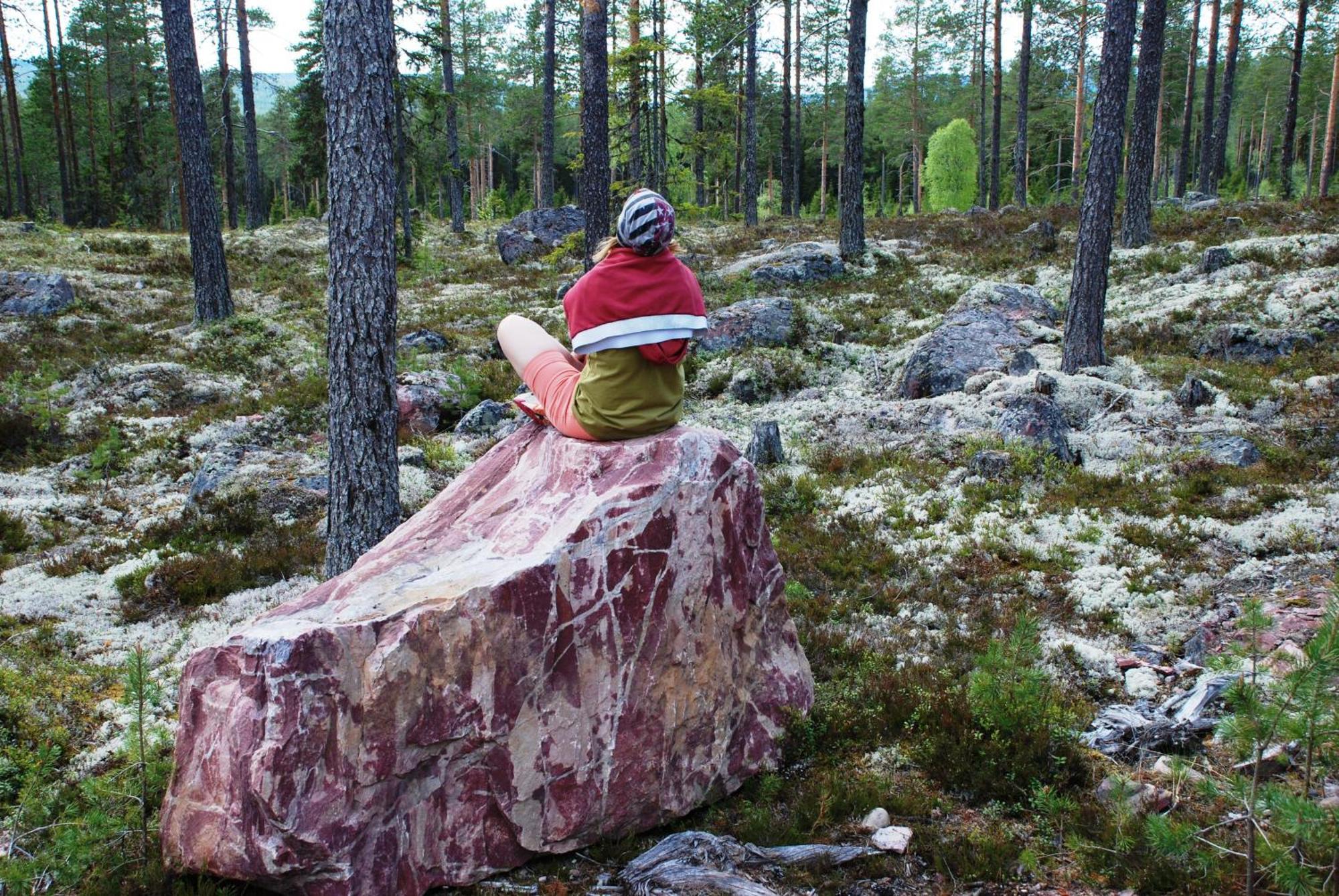 12 - Fulufjellets Nasjonalparker - Natur-, Dyre- Og Fugleopplevelser Ljordal Luaran gambar