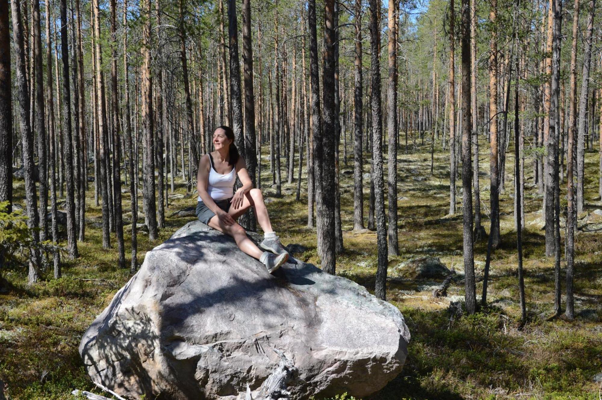 12 - Fulufjellets Nasjonalparker - Natur-, Dyre- Og Fugleopplevelser Ljordal Luaran gambar