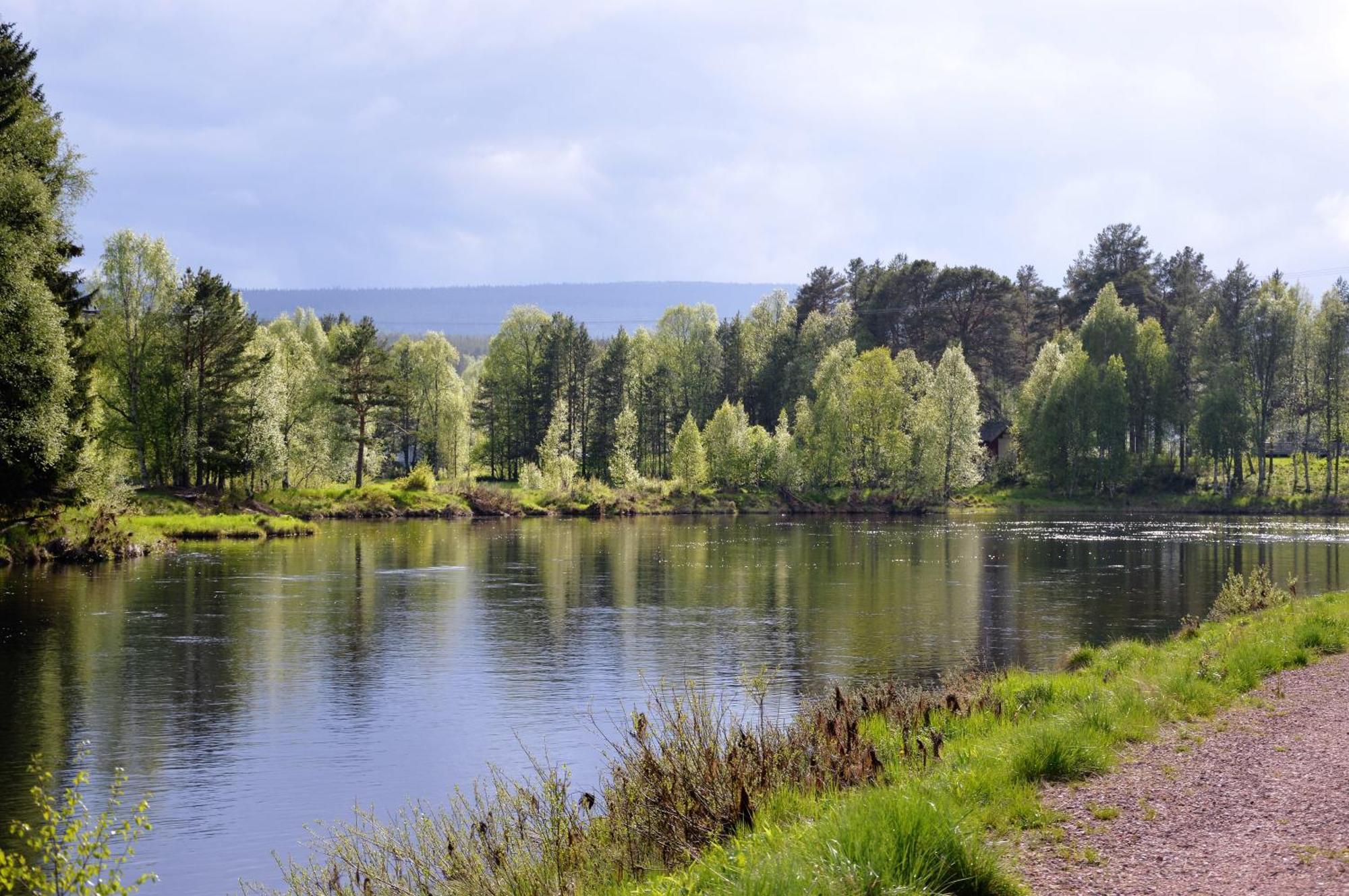 12 - Fulufjellets Nasjonalparker - Natur-, Dyre- Og Fugleopplevelser Ljordal Luaran gambar