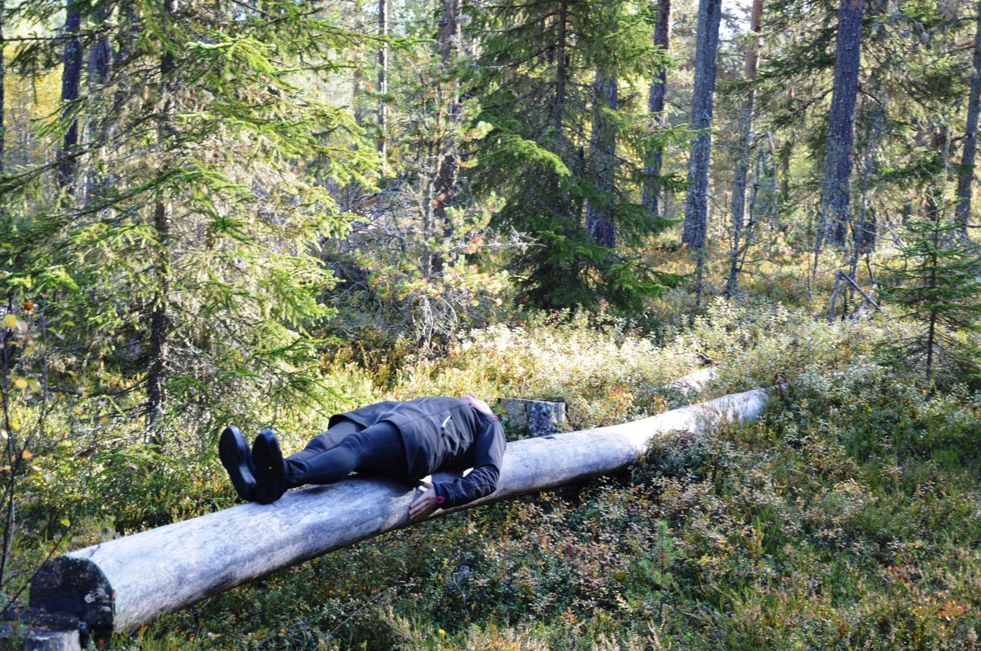 12 - Fulufjellets Nasjonalparker - Natur-, Dyre- Og Fugleopplevelser Ljordal Luaran gambar