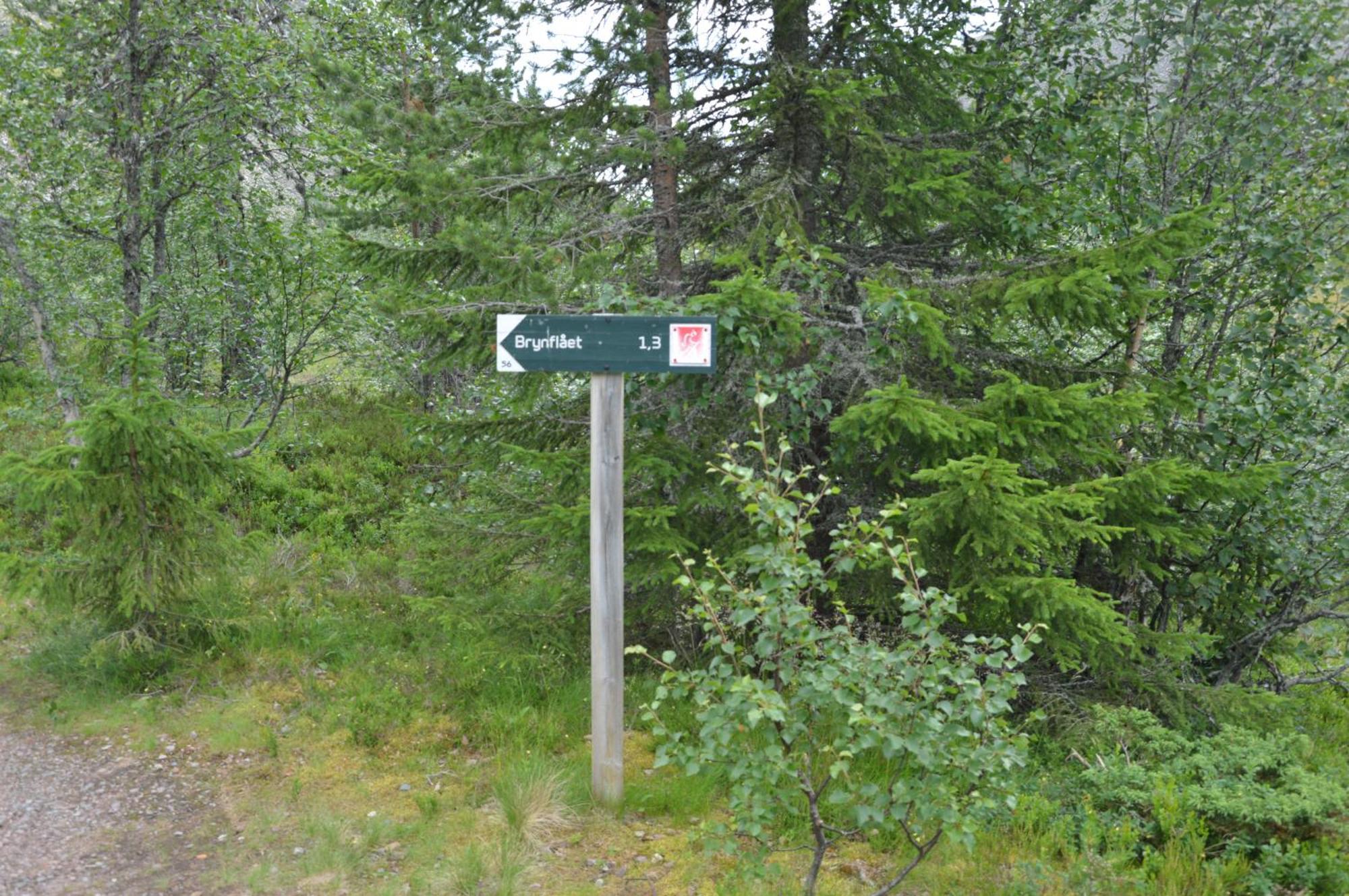 12 - Fulufjellets Nasjonalparker - Natur-, Dyre- Og Fugleopplevelser Ljordal Luaran gambar
