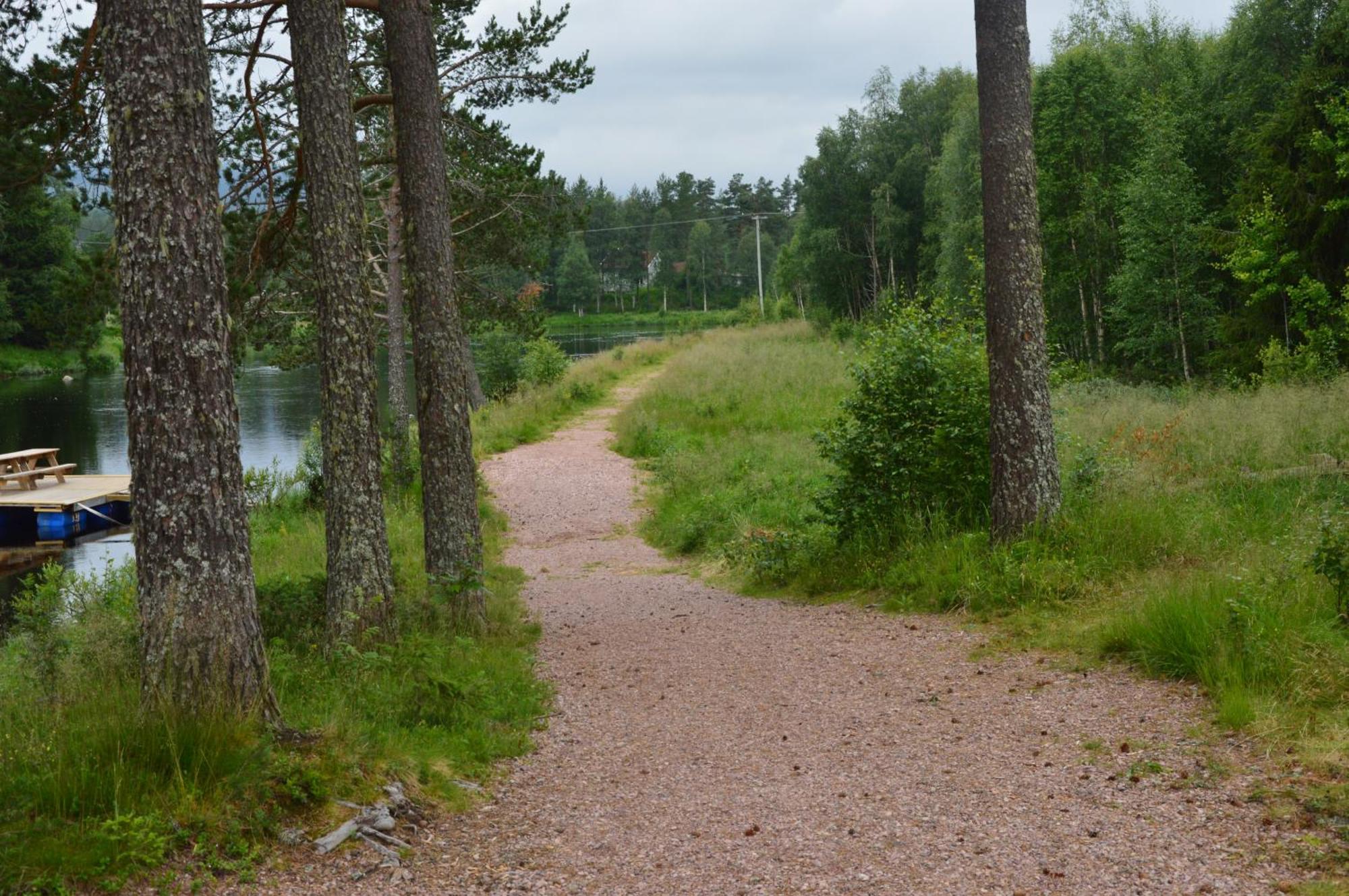 12 - Fulufjellets Nasjonalparker - Natur-, Dyre- Og Fugleopplevelser Ljordal Luaran gambar