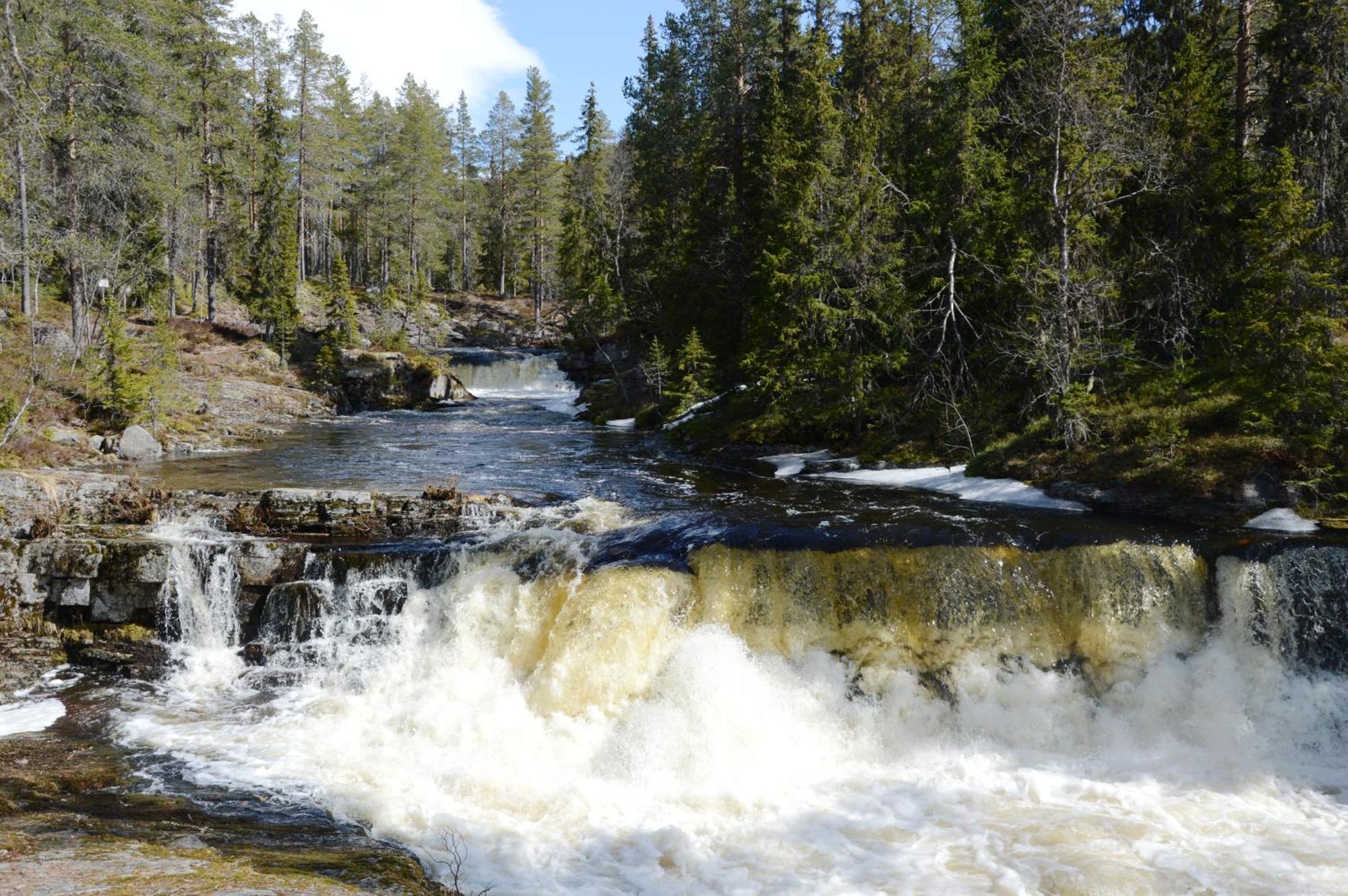 12 - Fulufjellets Nasjonalparker - Natur-, Dyre- Og Fugleopplevelser Ljordal Luaran gambar