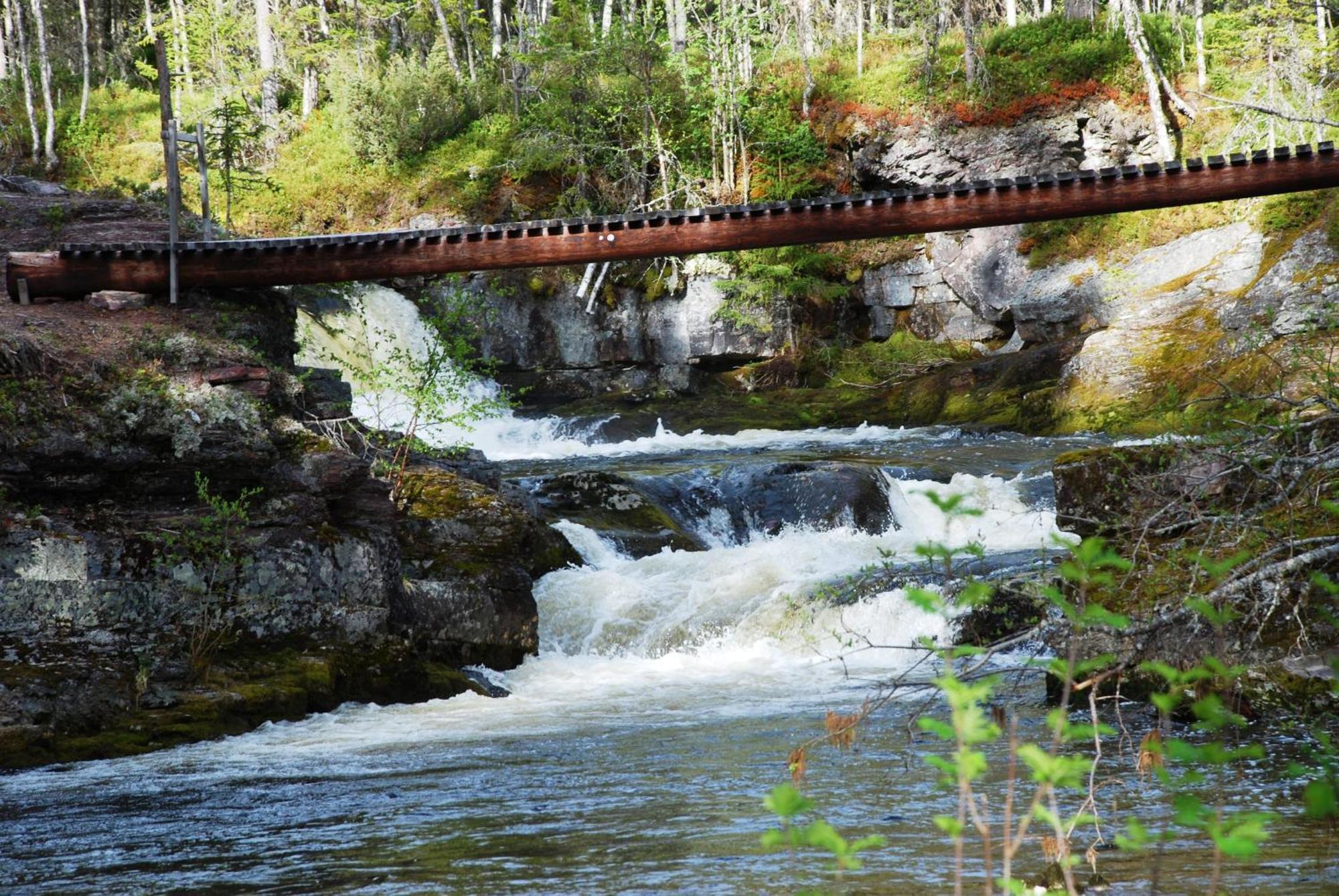 12 - Fulufjellets Nasjonalparker - Natur-, Dyre- Og Fugleopplevelser Ljordal Luaran gambar