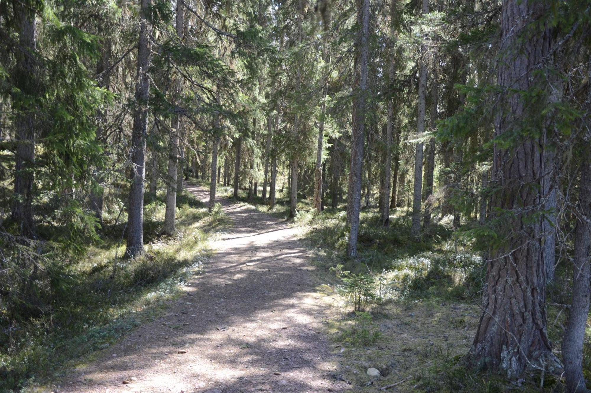 12 - Fulufjellets Nasjonalparker - Natur-, Dyre- Og Fugleopplevelser Ljordal Luaran gambar