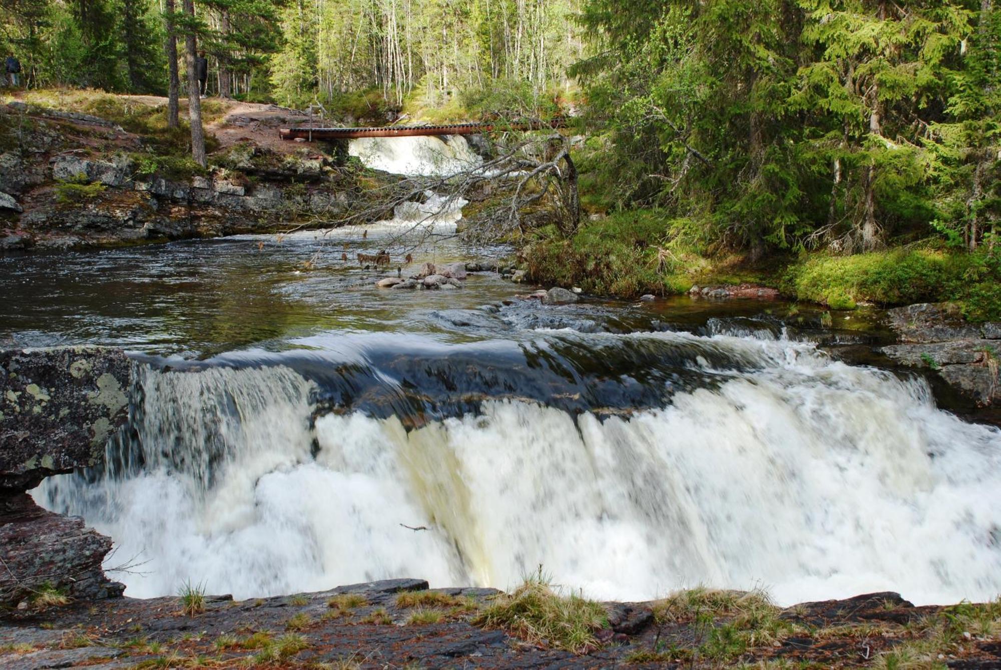 12 - Fulufjellets Nasjonalparker - Natur-, Dyre- Og Fugleopplevelser Ljordal Luaran gambar