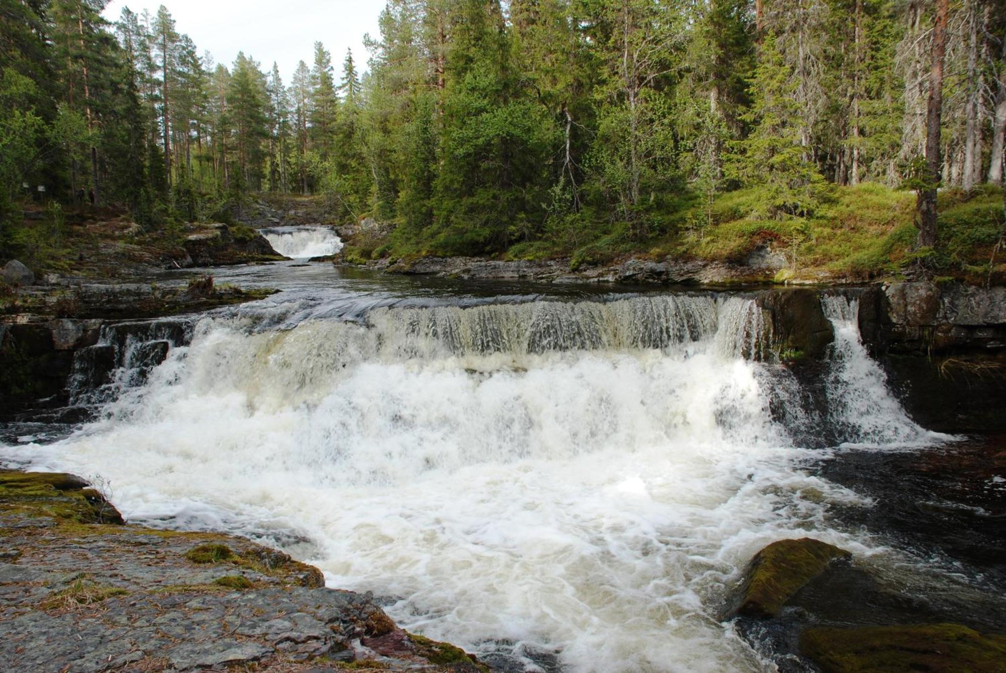 12 - Fulufjellets Nasjonalparker - Natur-, Dyre- Og Fugleopplevelser Ljordal Luaran gambar