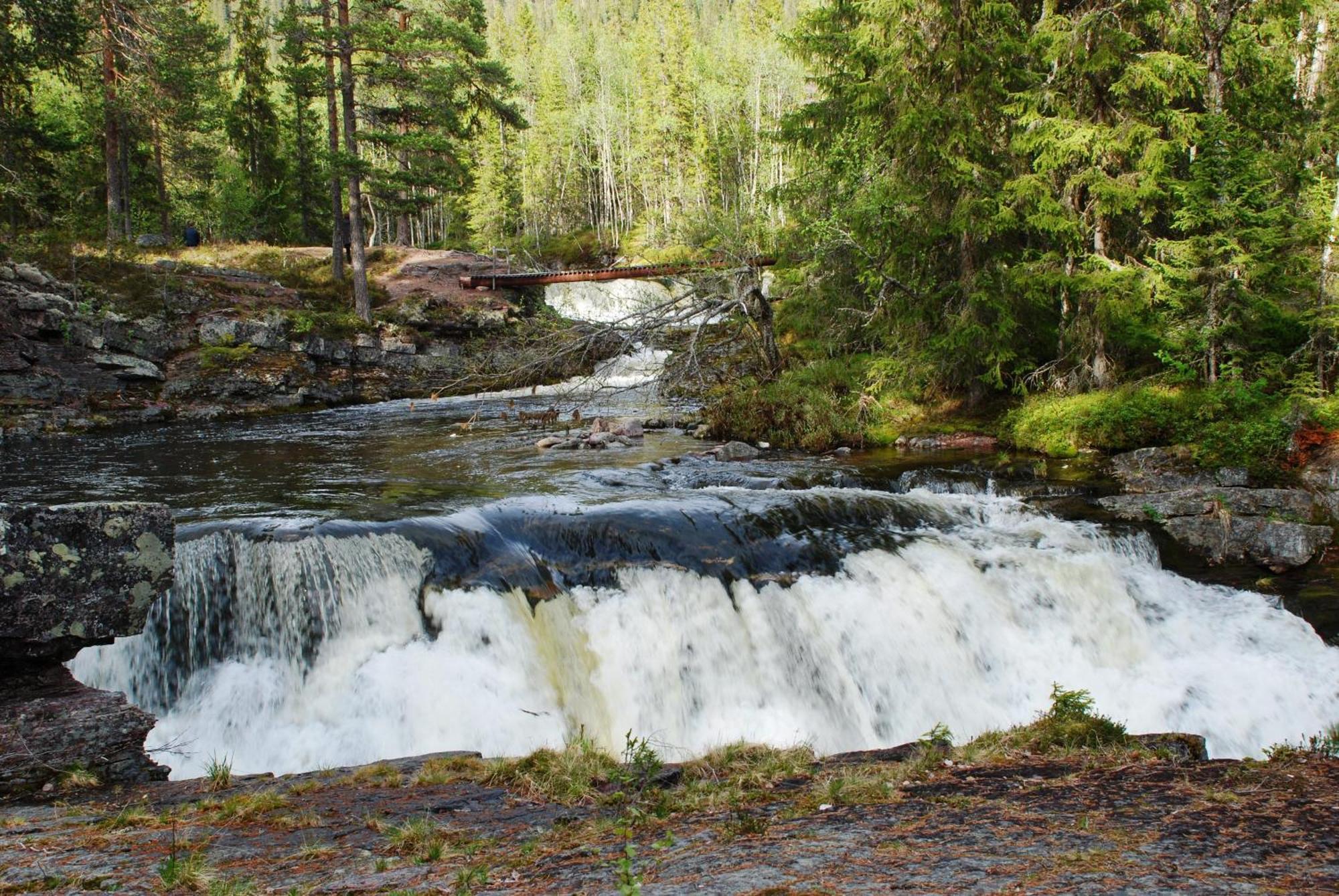 12 - Fulufjellets Nasjonalparker - Natur-, Dyre- Og Fugleopplevelser Ljordal Luaran gambar