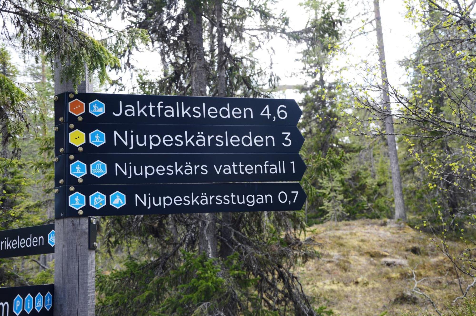 12 - Fulufjellets Nasjonalparker - Natur-, Dyre- Og Fugleopplevelser Ljordal Luaran gambar