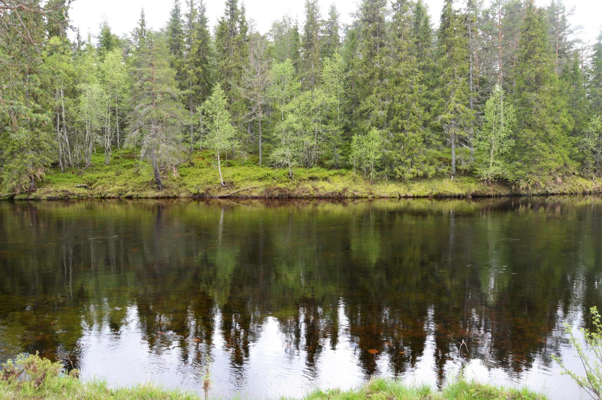 12 - Fulufjellets Nasjonalparker - Natur-, Dyre- Og Fugleopplevelser Ljordal Luaran gambar